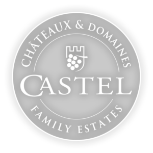 home-castel-logo-header3
